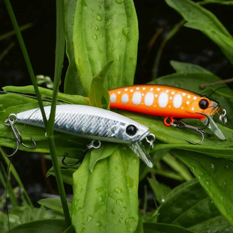 TSURINOYA 10PCS 51mm 5.8g Intr - Fishing Equipment For Trout recensione e prezzo