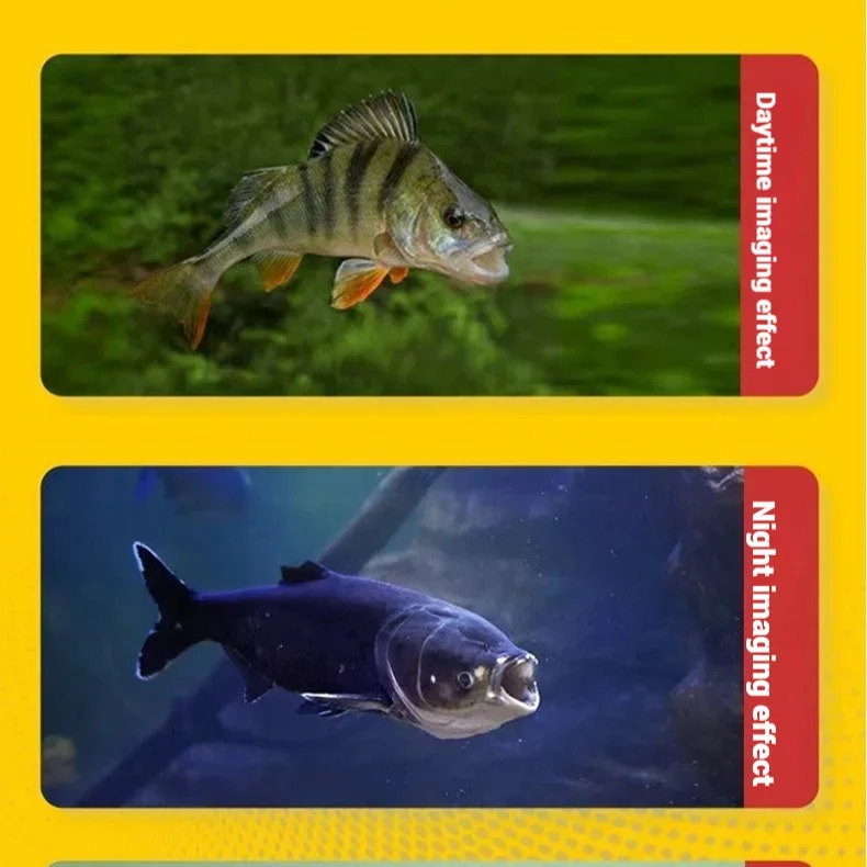 Telecamera Subacquea per Pesca - Underwater Fishing Camera recensione e prezzo